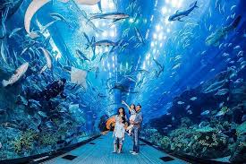 Burj Al Arab & Underwater Zoo Tour